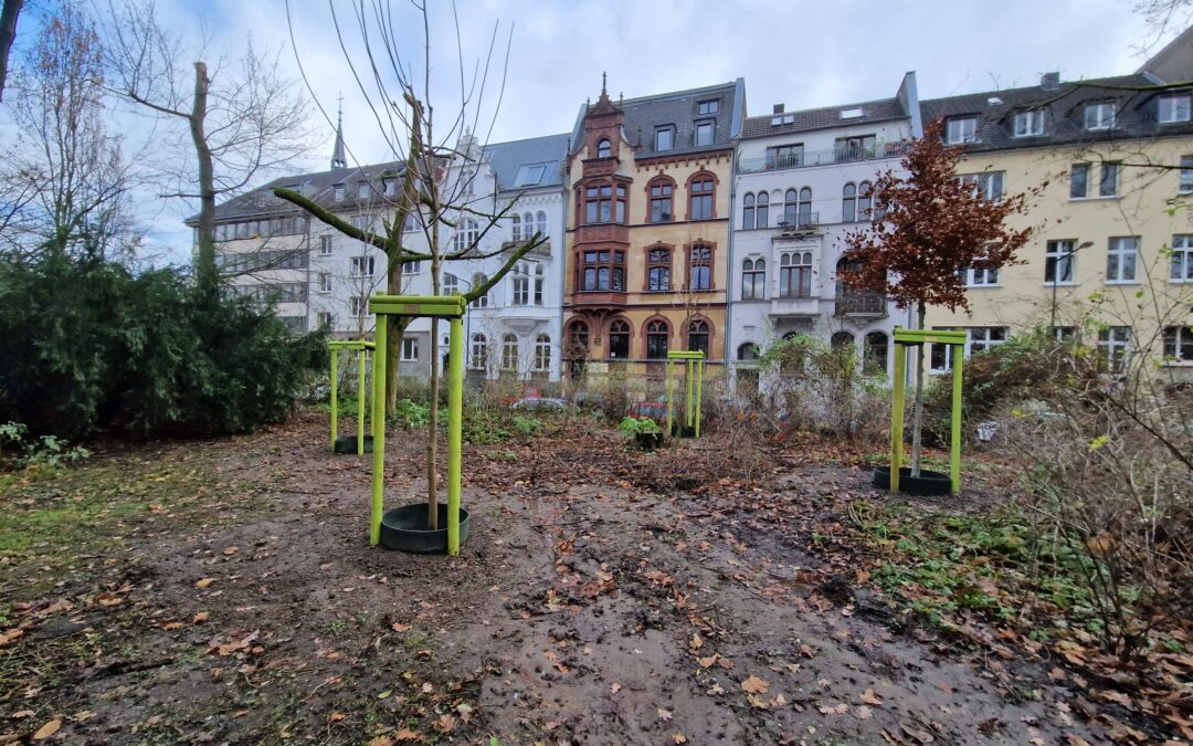 EHI spendet Bäume für Stadtgarten